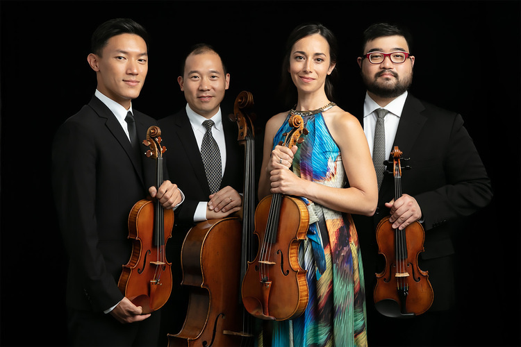 A professional string quartet poses for a formal portrait against a black background. The group consists of two violinists, a violist and a cellist, dressed in elegant attire. The two men on the left and right wear black suits and ties, while the woman in the center wears a colorful sleeveless dress. Each musician holds their instrument, looking directly at the camera.